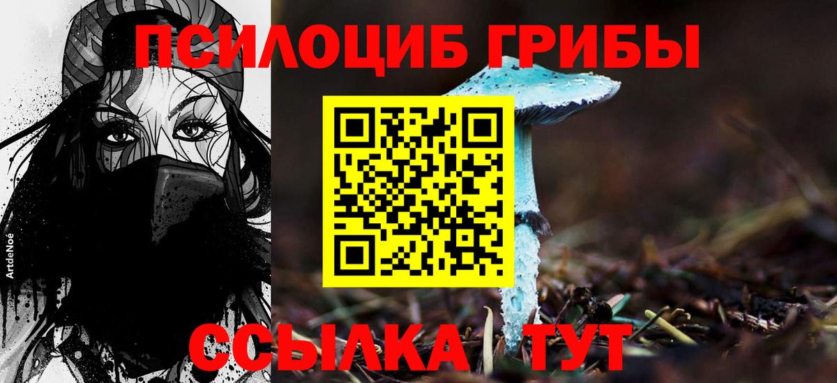 Санкт-Петербург  Галлюциногенные грибы MAGIC MUSHROOMS  Вход с VPN 